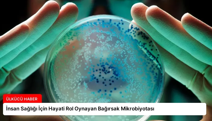İnsan Sağlığı İçin Hayati Rol Oynayan Bağırsak Mikrobiyotası