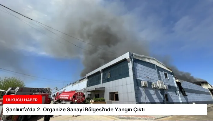Şanlıurfa’da 2. Organize Sanayi Bölgesi’nde Yangın Çıktı