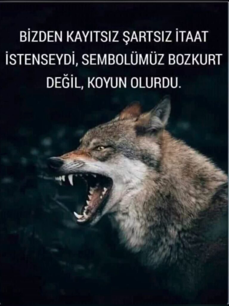 “Bizden Kayıtsız Şartsız İtaat İsteniyorsa, Sembolümüz Bozkurt Değil, Koyun Olurdu”: İbrahim Murat Gündüz’ün Ülkücü Ruhuyla Şahin Eroğlu’nun Zafer Yolu