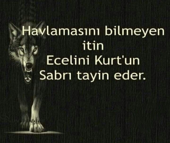 İbrahim Murat Gündüz “Eğer Tek Bir Kişi Bir Orduya Meydan Okuyorsa Bilin ki O Türk’tür!