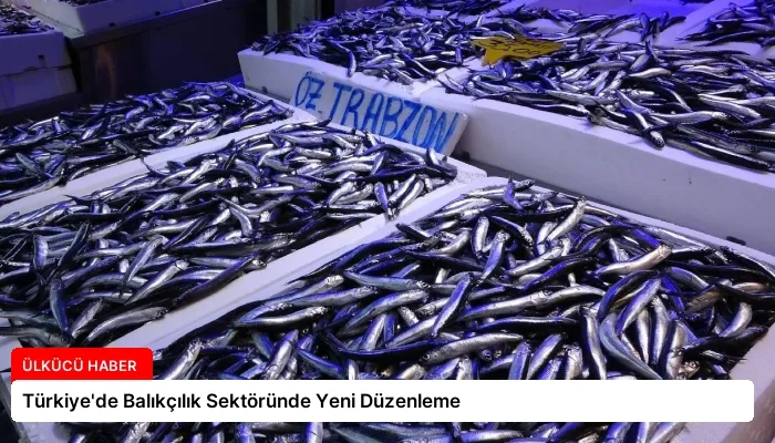 Türkiye’de Balıkçılık Sektöründe Yeni Düzenleme