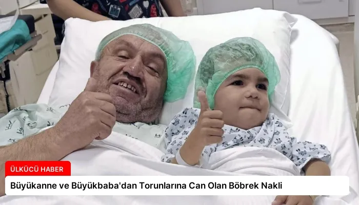 Büyükanne ve Büyükbaba’dan Torunlarına Can Olan Böbrek Nakli