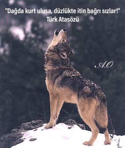 İbrahim Murat Gündüz “Türk olmak, unutulmayanın intikamını almak demektir