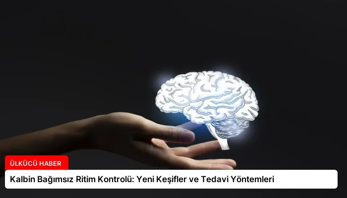 Kalbin Bağımsız Ritim Kontrolü: Yeni Keşifler ve Tedavi Yöntemleri