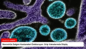 Norovirüs Salgını Hastaneleri Dolduruyor: Grip Vakalarında Düşüş