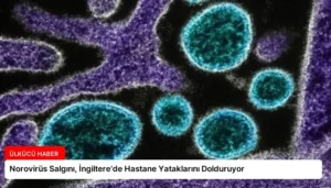 Norovirüs Salgını, İngiltere’de Hastane Yataklarını Dolduruyor