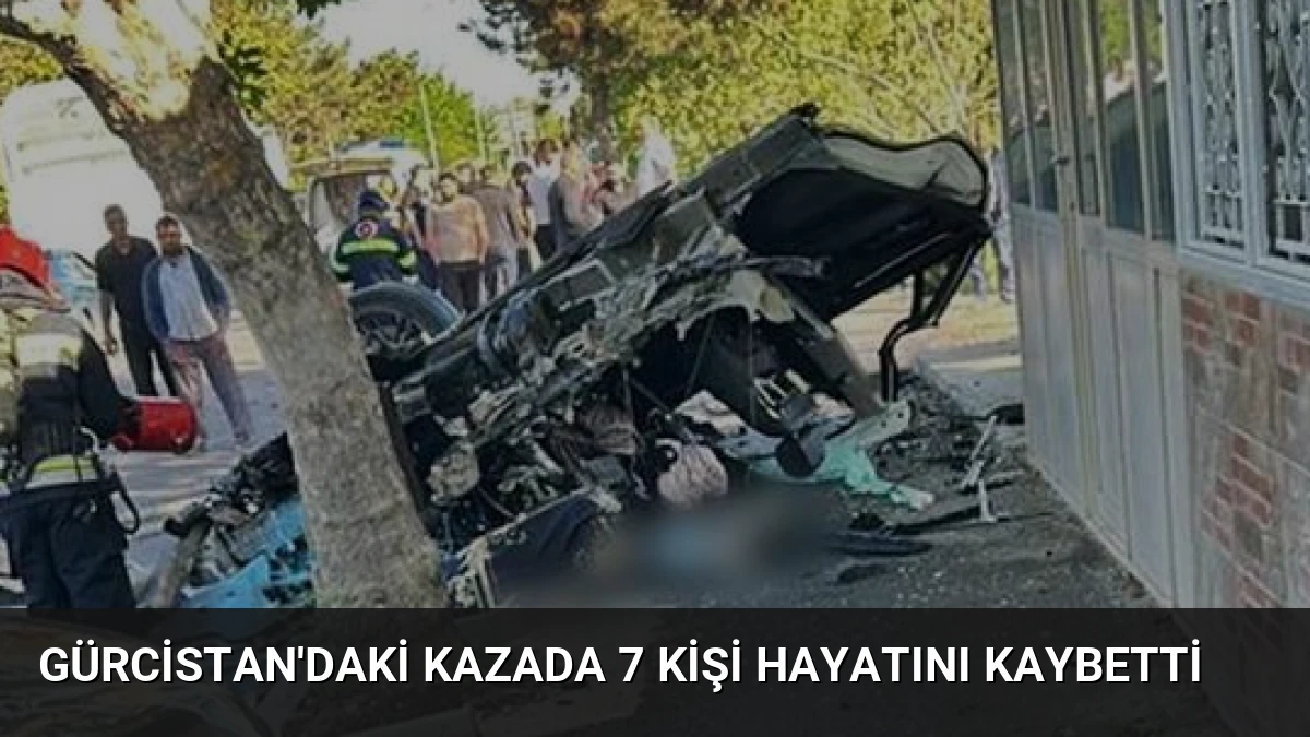 Gürcistan’daki Kazada 7 Kişi Hayatını Kaybetti
