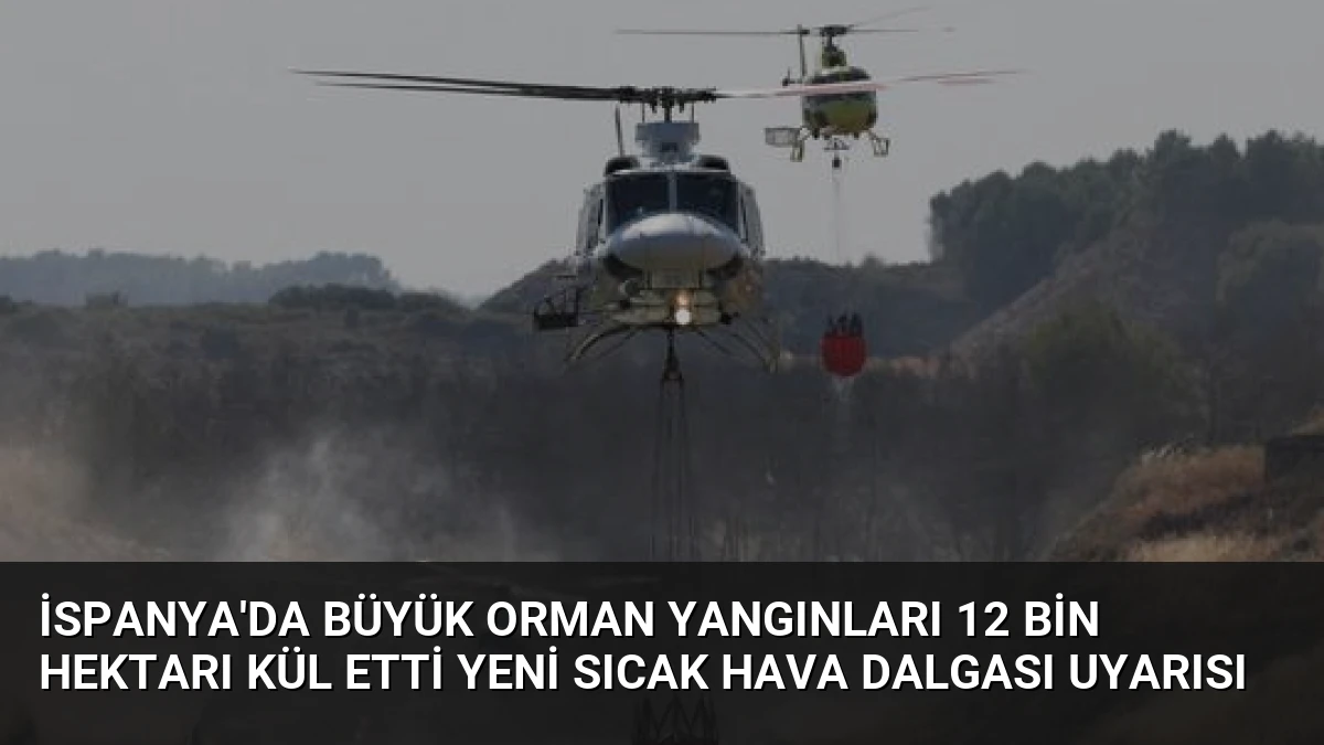 İspanya’da Büyük Orman Yangınları 12 Bin Hektarı Kül Etti Yeni Sıcak Hava Dalgası Uyarısı