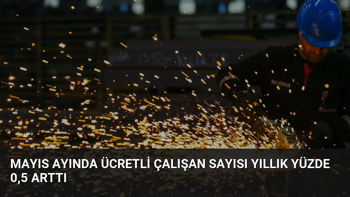 Mayıs Ayında Ücretli Çalışan Sayısı Yıllık Yüzde 0,5 Arttı