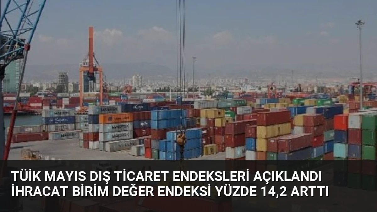 TÜİK Mayıs Dış Ticaret Endeksleri Açıklandı İhracat Birim Değer Endeksi Yüzde 14,2 Arttı