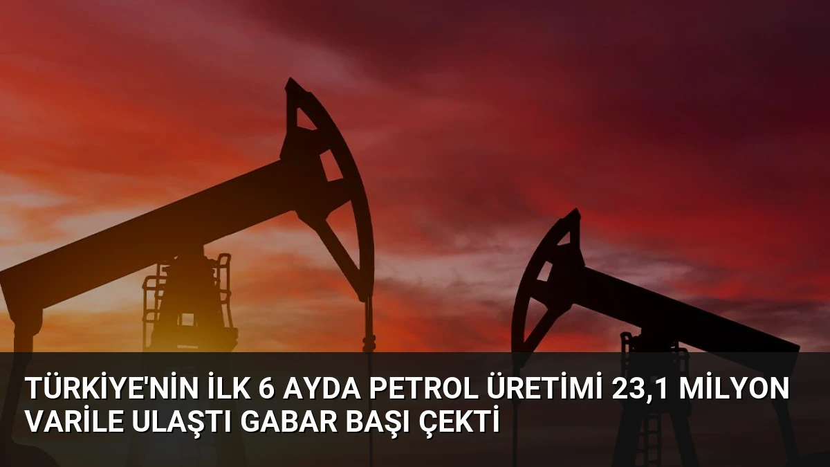 Türkiye’nin İlk 6 Ayda Petrol Üretimi 23,1 Milyon Varile Ulaştı Gabar Başı Çekti