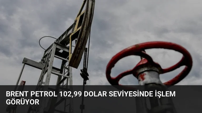 Brent Petrol 102,99 Dolar Seviyesinde İşlem Görüyor