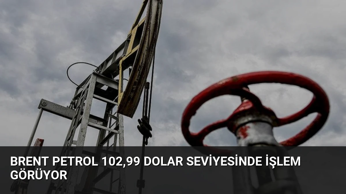 Brent Petrol 102,99 Dolar Seviyesinde İşlem Görüyor