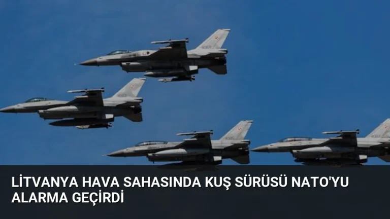 Litvanya Hava Sahasında Kuş Sürüsü NATO’yu Alarma Geçirdi