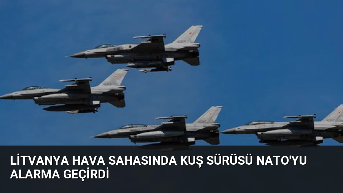 Litvanya Hava Sahasında Kuş Sürüsü NATO’yu Alarma Geçirdi