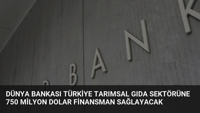 Dünya Bankası Türkiye Tarımsal Gıda Sektörüne 750 Milyon Dolar Finansman Sağlayacak
