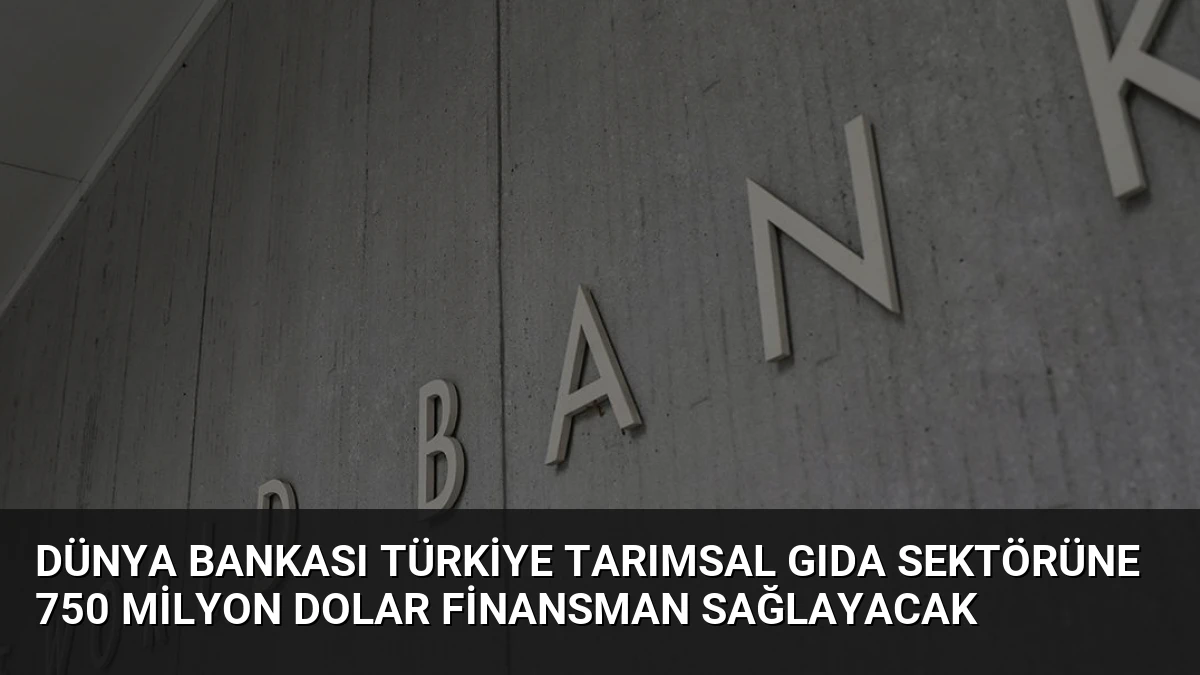 Dünya Bankası Türkiye Tarımsal Gıda Sektörüne 750 Milyon Dolar Finansman Sağlayacak