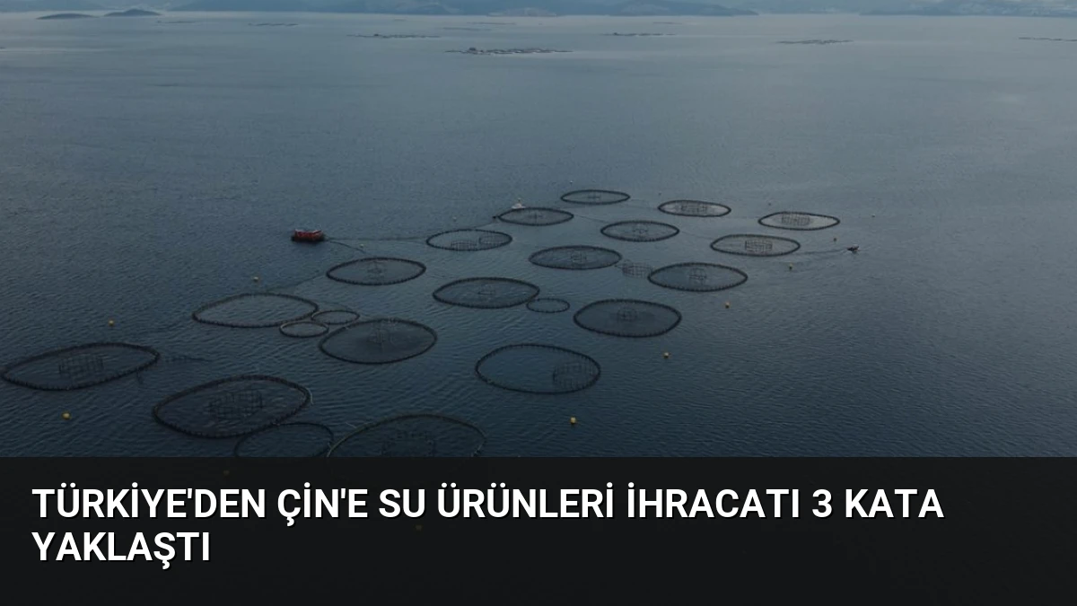 Türkiye’den Çin’e Su Ürünleri İhracatı 3 Kata Yaklaştı